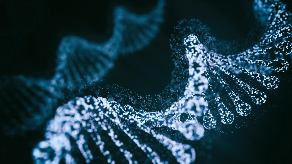 Nukleinsav alapú technikák (PCR, QPCR) - CHGENE